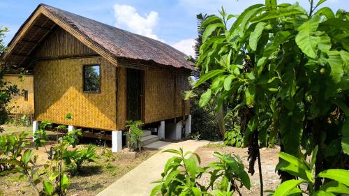 Ocean Green Eco-Lodge