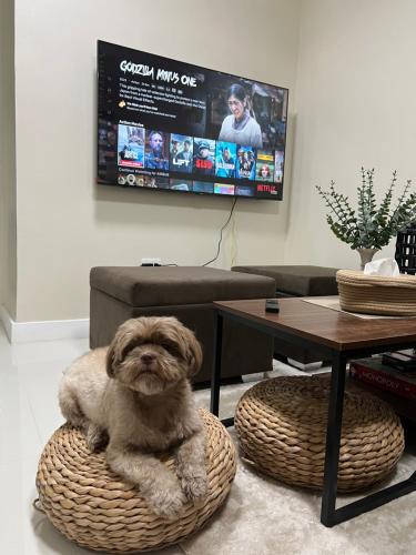 2-Bedroom Condo in Antipolo with Nature or Farm View