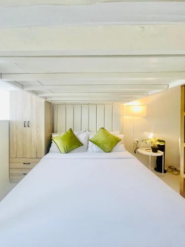 WV 17 Sleek & Trendy Studio with Bunk Bed