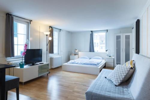 HITrental Zeughausgasse - Apartment