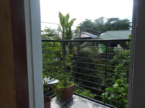 Pacifico Seaside Lodge