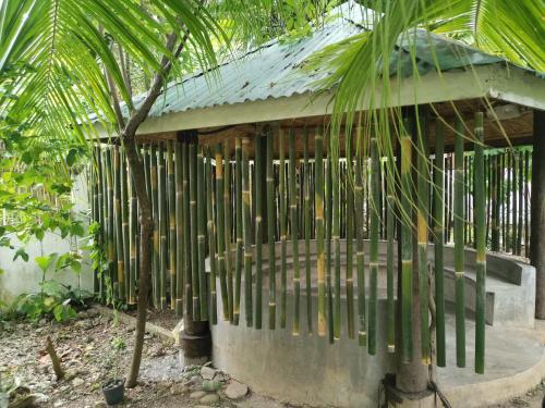La Vida Orchard Samal