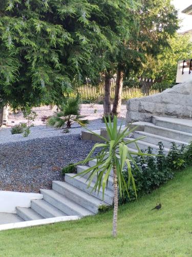 Quinta Da Costinha