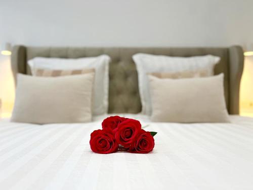 Sublime appartement Calme Cosy & Jacuzzi