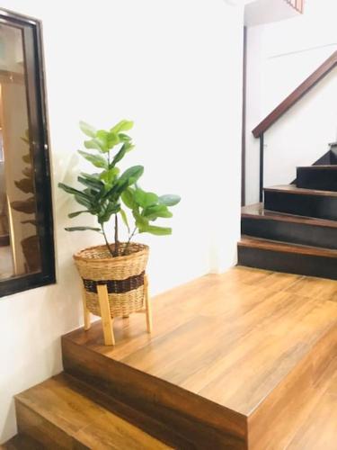 A Cozy Modern Family House located at Comawas, Bislig City, Surigao del Sur