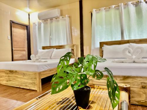 Loboc Cool River Resort