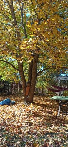 Siedlisko Urszulanka Dom