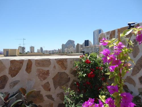 Hotel Calpe