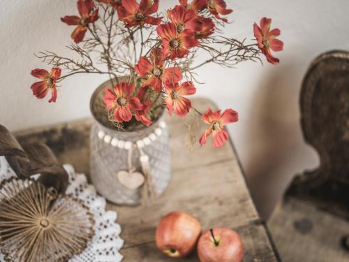 Apparthotel Veronika