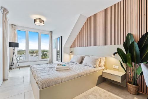 Comfort & Style in Vibrant Luxembourg Coliving