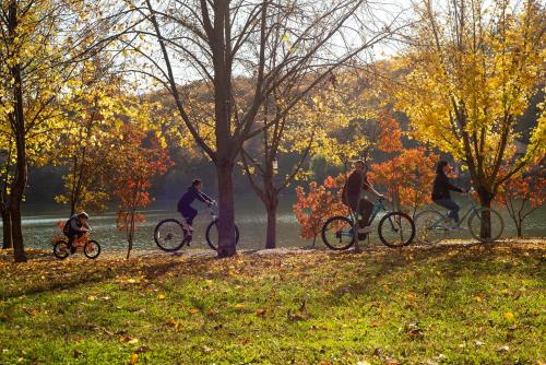 Lopota Lake Resort & Spa