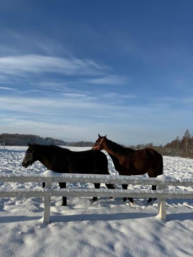 Relax House By The Stone