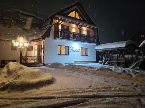 Casa Andreea