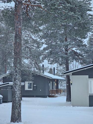 Levilehto Apartments