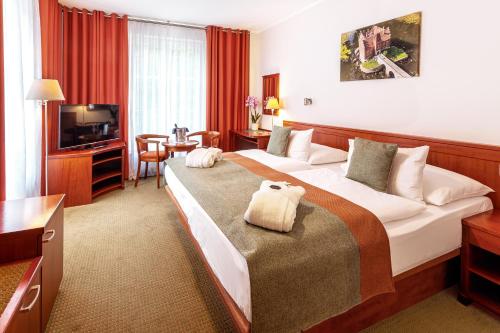 Spa & Wellness Hotel Olympia