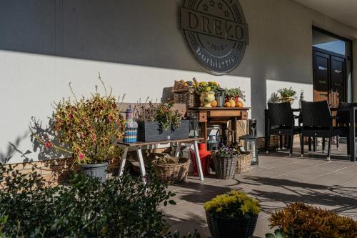 Dreko Panzió Es Borbisztró