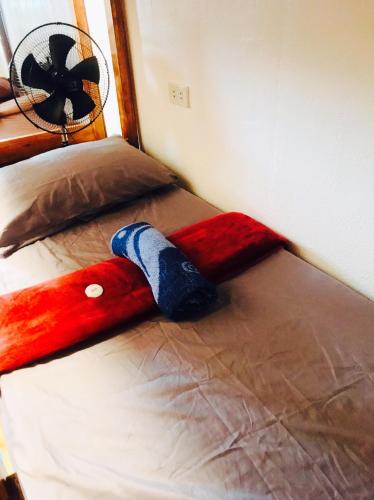 Ezkinita Room Rental - Near the Airport, City Center of Puerto Princesa Palawan