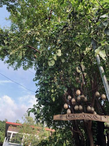 Lakayo Hillside Apartelle