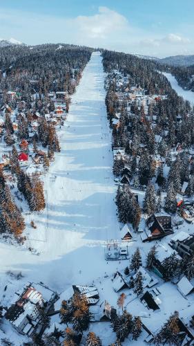 Pansion A&M Vlašić