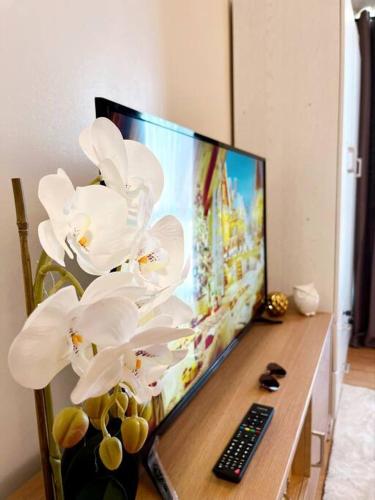 IT Park Gem - Cozy Studio with Netflix and Pool Access