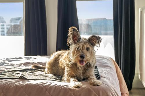 Grano Apartments Premium Stare Miasto