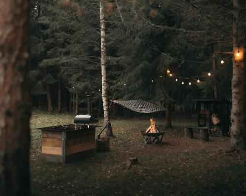 Briežu Stacija Off Grid Cabin