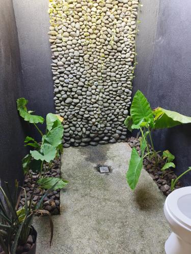 Cliff Garden