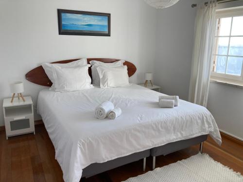 Freesurf Camp & Hostel