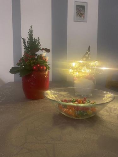 Apartment in the city center