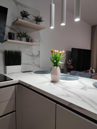 Útulný Apartmán Katka Rajecké Teplice