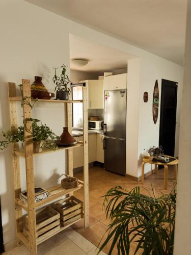 Bedreamer Surf House