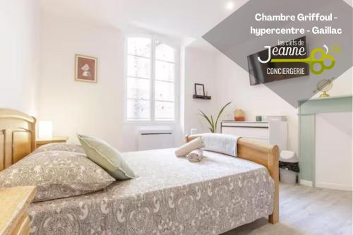 Chambre Griffoul - Hypercentre - Gaillac