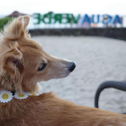 Acuaverde Beach Resort