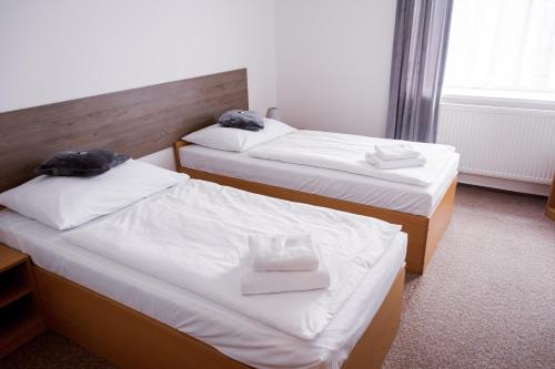 Hotel Arena