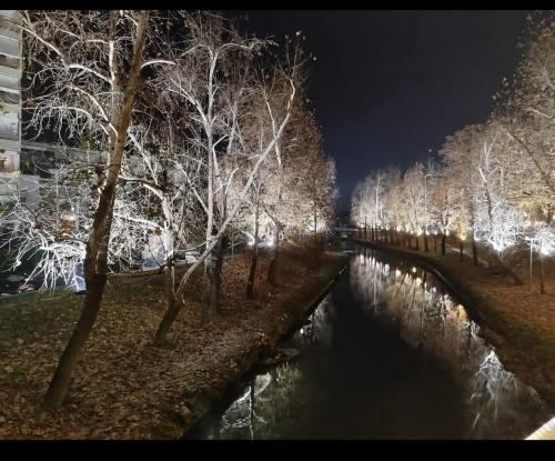 Felice studio Bianco