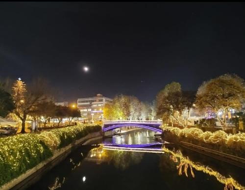 Felice studio Bianco