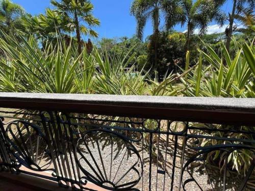 2-4pax Condo Unit in Subic Bay