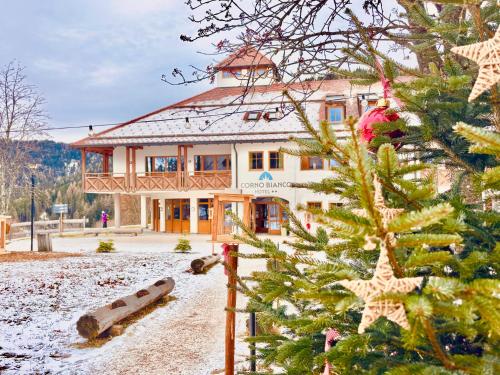 Hotel Corno Bianco