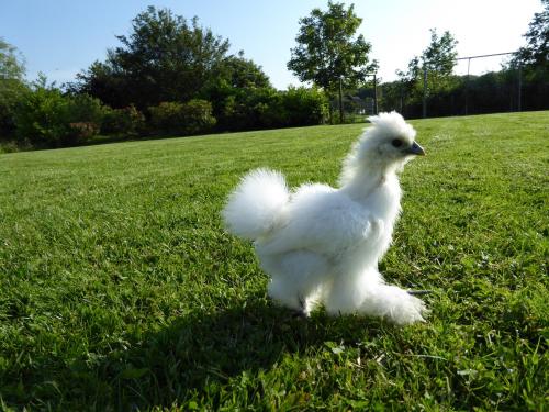 Logeren Bij De Ruimte