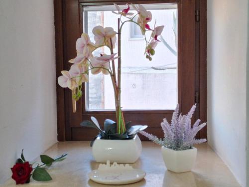 L’Infinito Dei Sassi