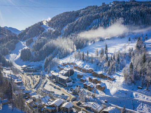 Chalet in Wagrain near Flying Mozart Lift