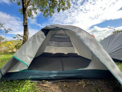 The Apiary Mountain Camp and Farm