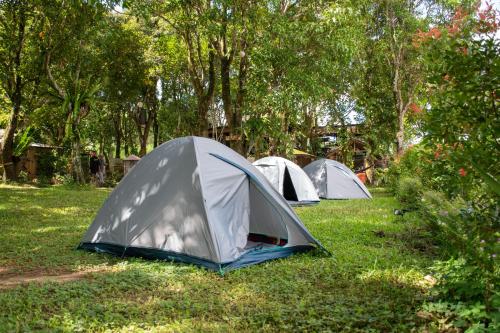 The Apiary Mountain Camp and Farm