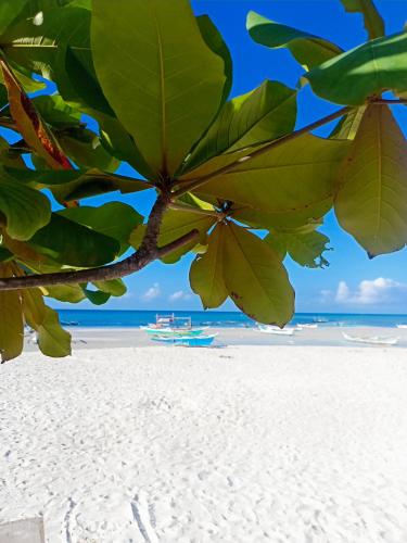 Nanette's Tourist Inn