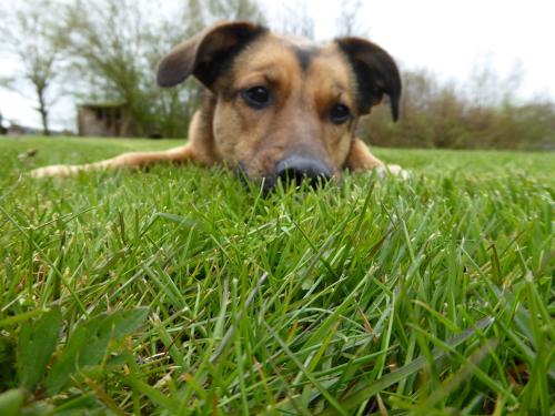 Logeren Bij De Ruimte