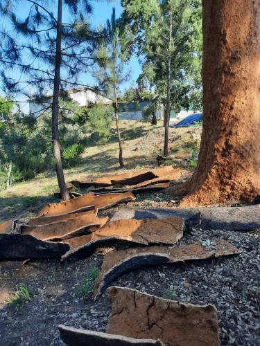 Quinta Quatro Ventos