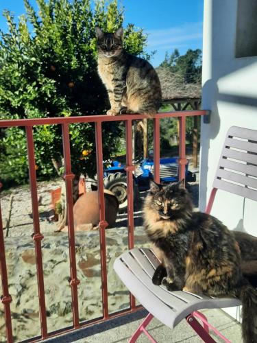 Quinta Quatro Ventos