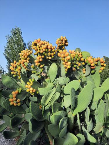 Quinta Quatro Ventos