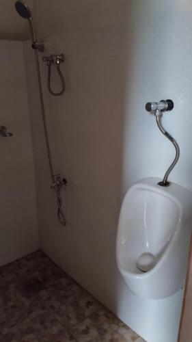 The Roaming Nest - Panglao