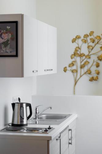 City Center Apartments Linz